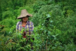 myanmar (1)